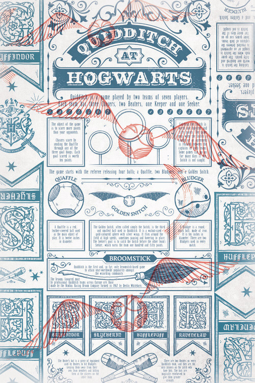 Murais de parede Harry Potter - Quidditch at Hogwarts