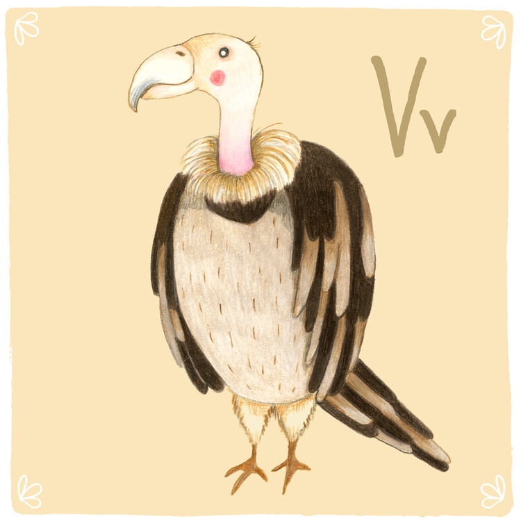 Wall Art Print Judith Loske Alphabet Vulture Europosters