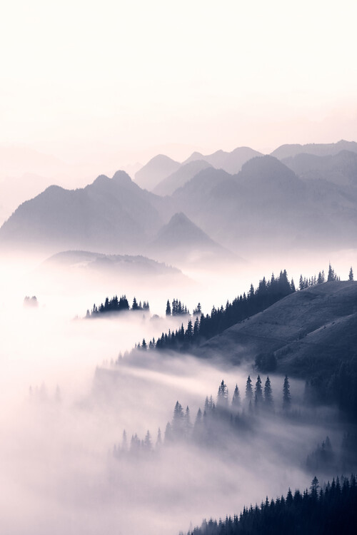 Taide valokuvaus Misty mountains
