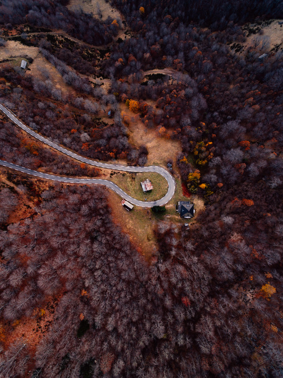 Taide valokuvaus Mountain road between autumn trees