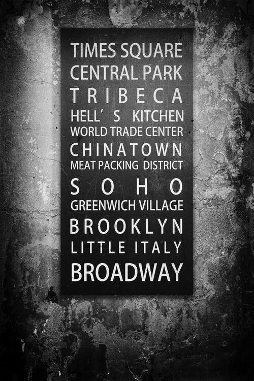 Canvas Print NYC Districts