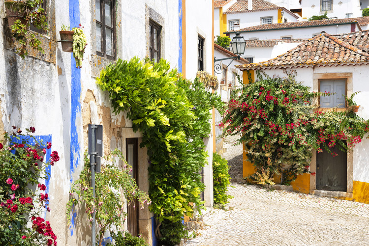 Canvas Print Old Town of Obidos
