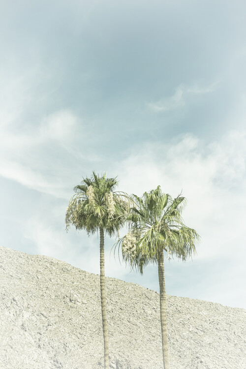Arte Fotográfica Palm Trees in the desert | Vintage