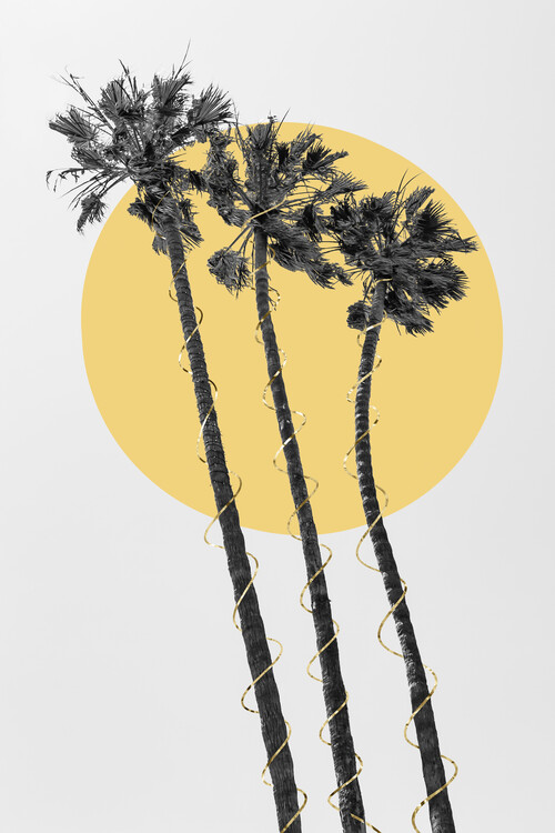 Canvas Print Palm Trees In The Sun
