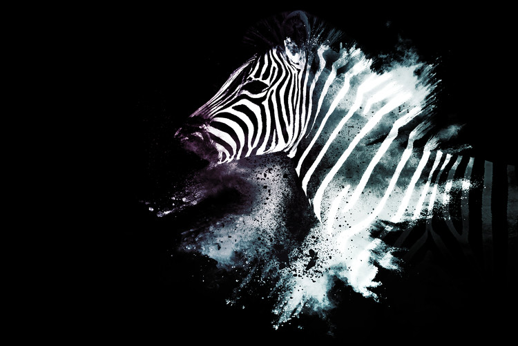 Canvas Print The Zebra