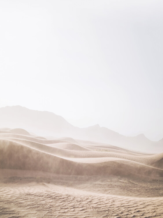 Taide valokuvaus Windy Desert