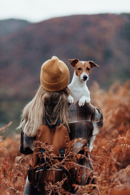 Canvas Print Woman traveling with her dog