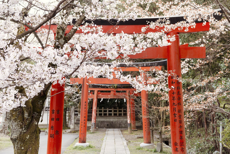 Taide valokuvaus Yoshida Shrine Torii