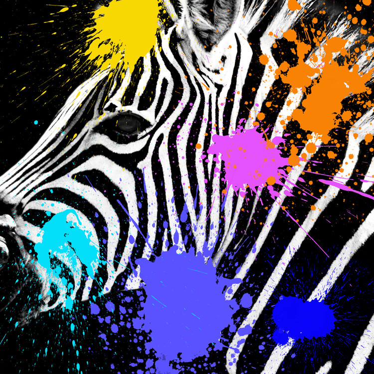 Canvas Print Zebra Portrait