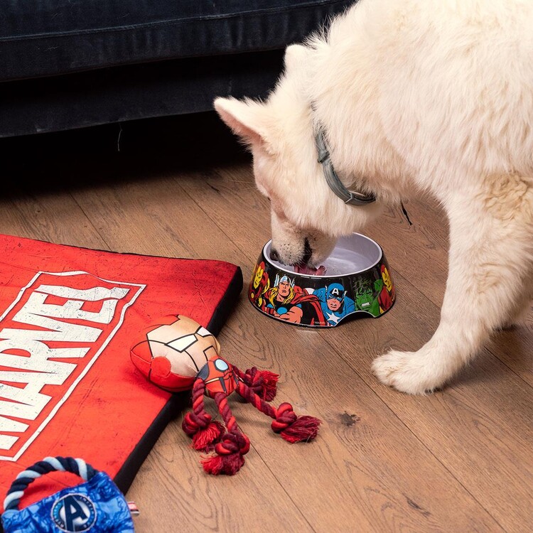 marvel dog accessories