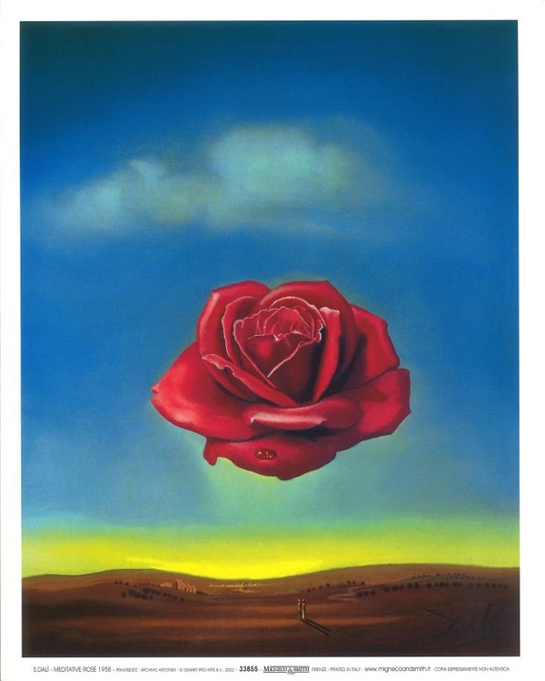 salvador dali meditative rose