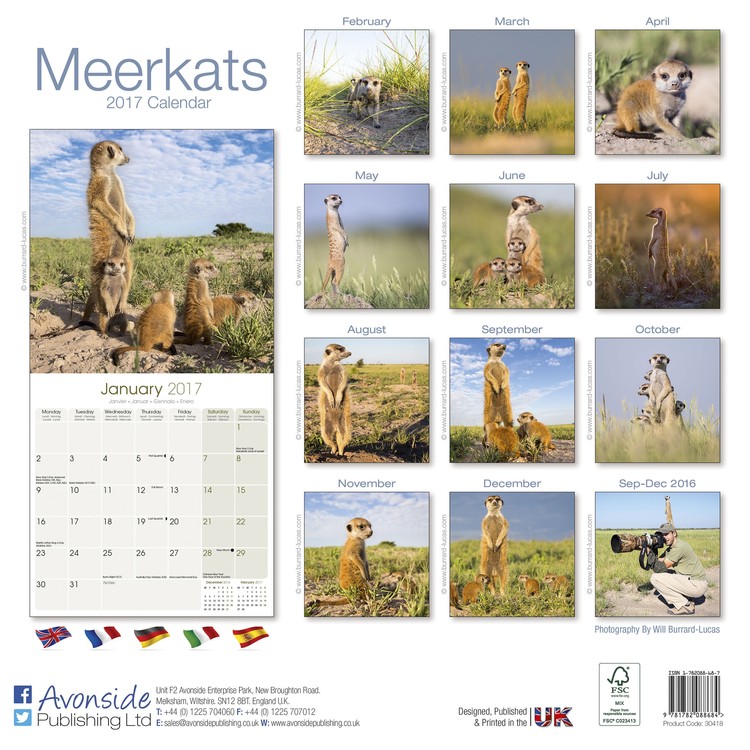 Calendar 2021 Meerkats