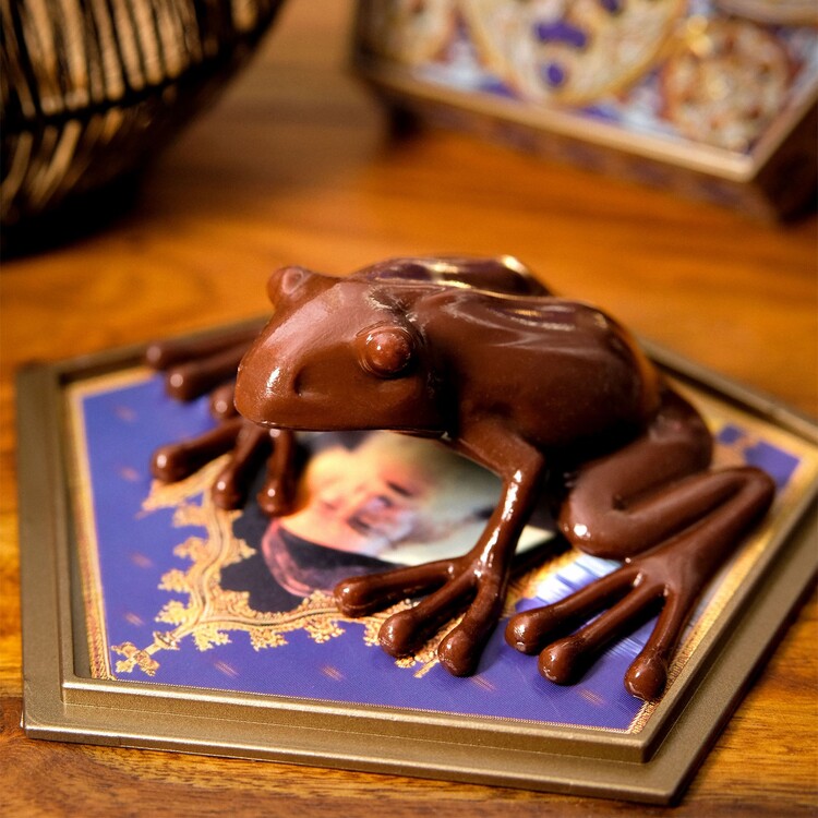 Harry Potter - Chocolate Frog | Tips for original gifts