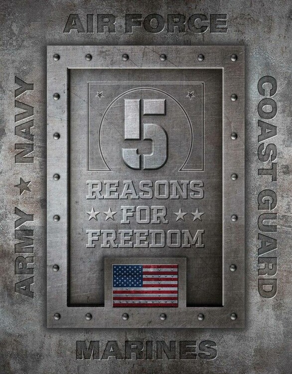 Metal sign 5 Reasons for Freedom