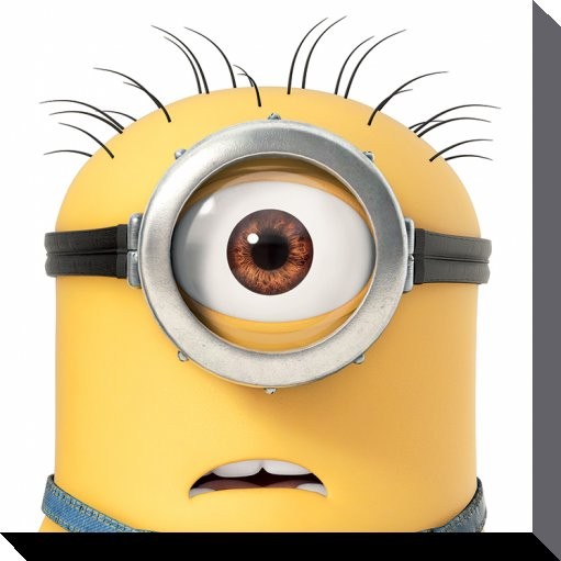 Minions (Despicable Me) - Carl Close Up