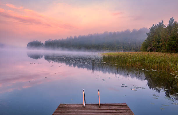 Autocolante Morning Swim