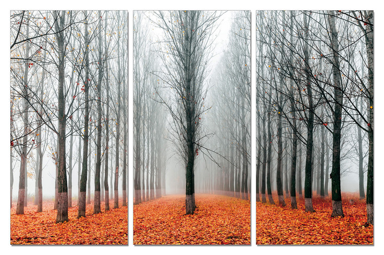 Autumn Alley Mounted Art Print