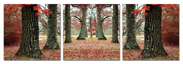 Autumn alley Mounted Art Print