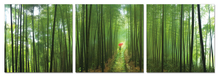 Bamboo Forest Mounted Art Print