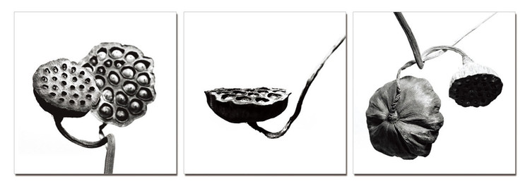 Black and White Flower Mounted Art Print