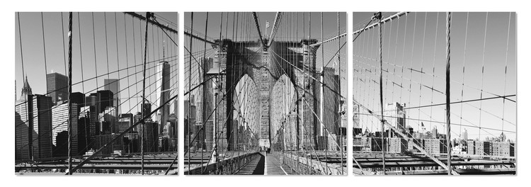 Brooklyn bridge in black and white Mounted Art Print