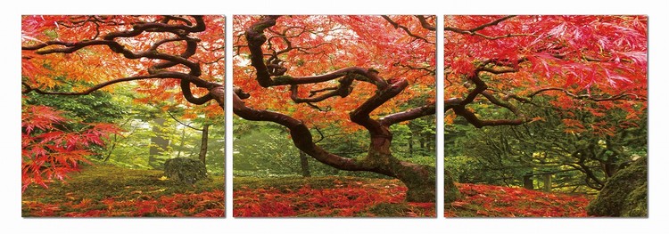 Colorful Park Mounted Art Print