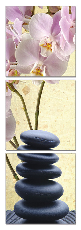 Feng shui - the stones Mounted Art Print