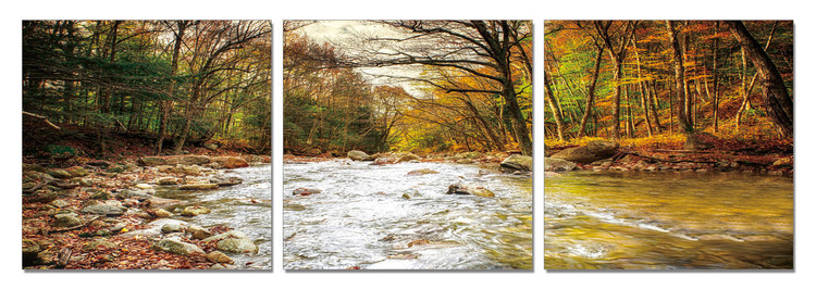 Forest at dusk Mounted Art Print