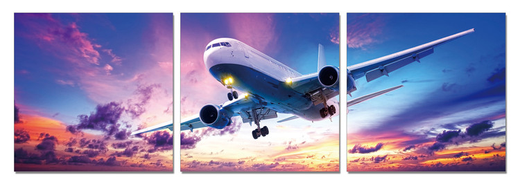 Landing Plane at Sunset Mounted Art Print