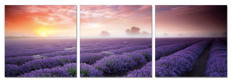 Mist over the Lavender Field Mounted Art Print