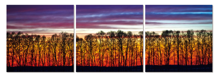 Red forest Mounted Art Print