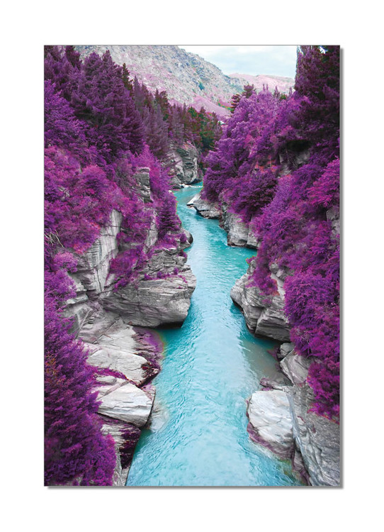 River flows in Purple Forest Mounted Art Print