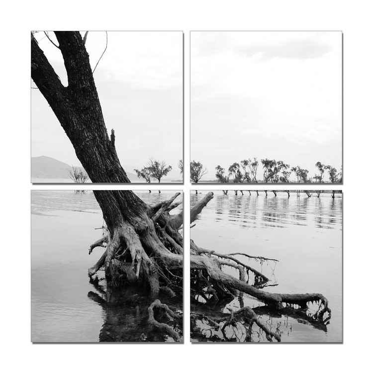 Roots in River Mounted Art Print
