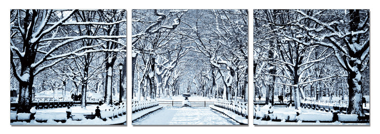 Snowy park Mounted Art Print