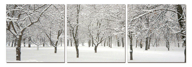 Snowy winter sets Mounted Art Print