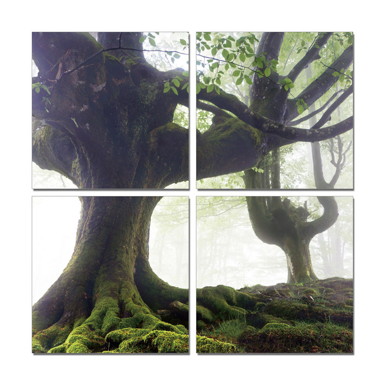 Spreading tree Mounted Art Print