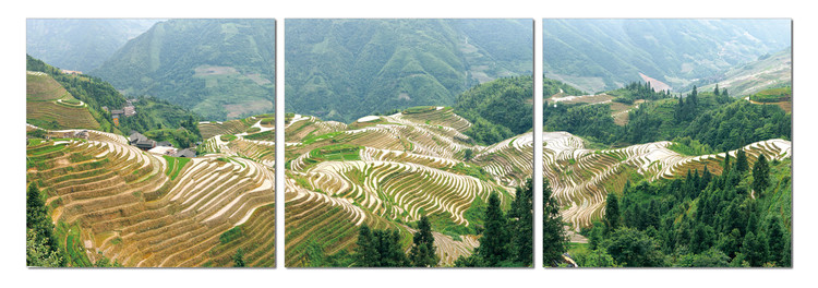 Terraced plantations Mounted Art Print