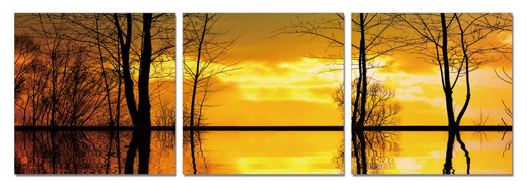 Tree Silhouettes - Calm Water Mounted Art Print