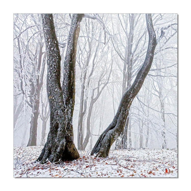 Trees Mounted Art Print