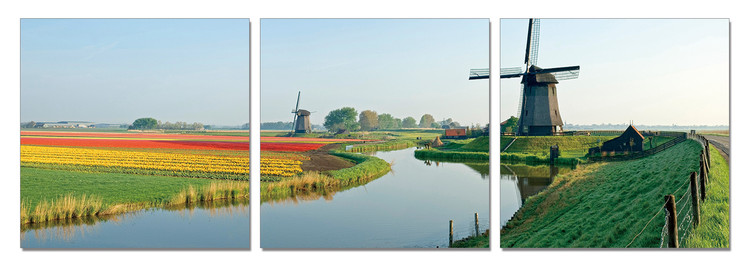 Windmills of Holland Mounted Art Print
