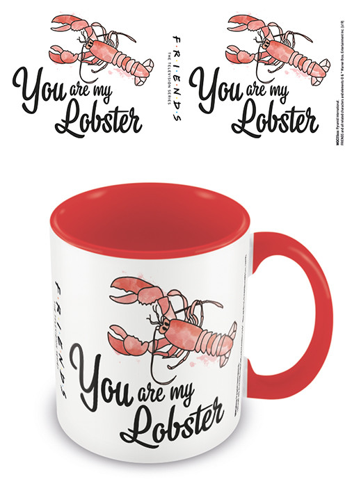 Friends - You are my Lobster Muki