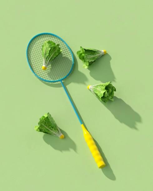 Murais de parede Fresh badminton.