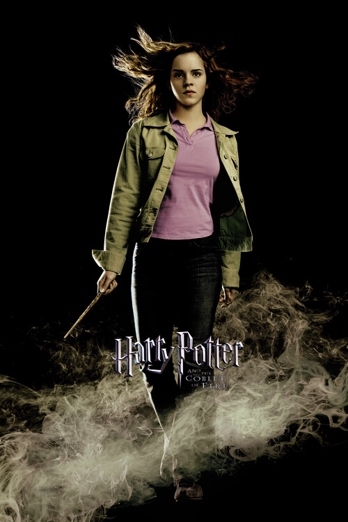Murais de parede Harry Potter - Hermione Granger