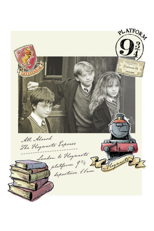 Murais de parede Harry Potter - Hermione, Harry e Rony