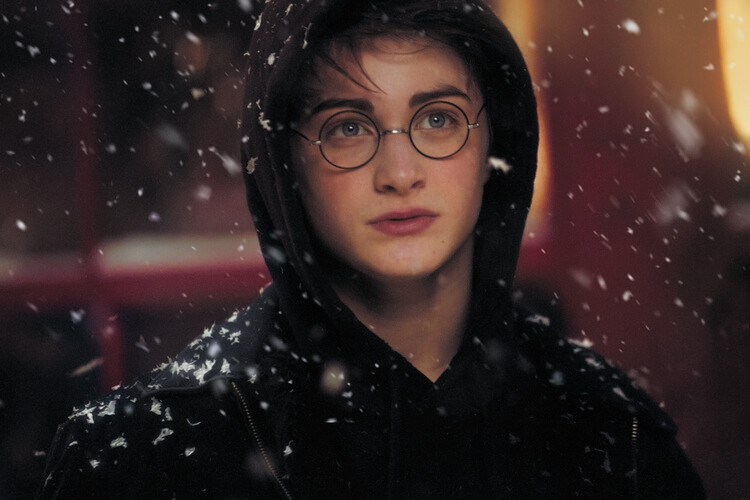 Murais de parede Harry Potter - Winter in Hogsmeade