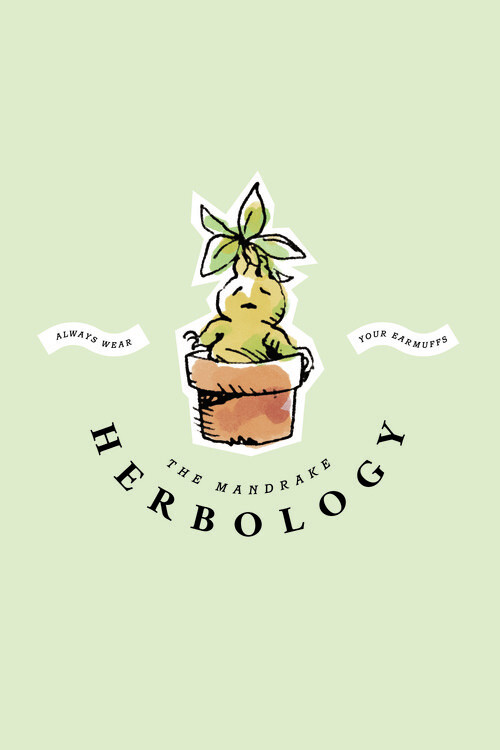 Murais de parede The Mandrake - Herbology