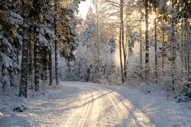 Seinätarra Narrow snowy forest road on a sunny winter day