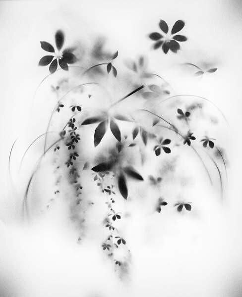 Autocolante Natural Veil, 2018