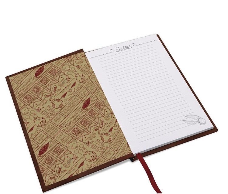Notebook Harry Potter - Quidditch