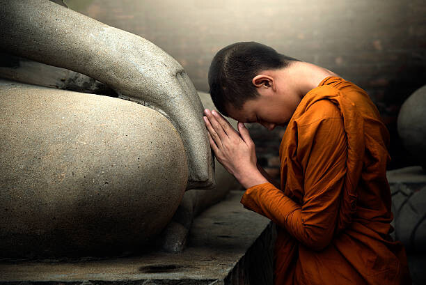 Футболка Novice monk